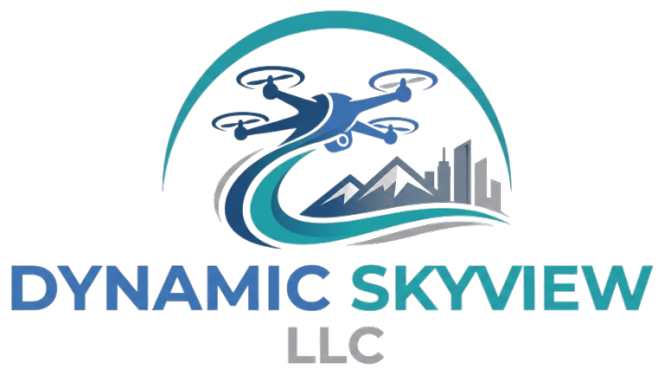 Dynamic Skyview LLC Logo